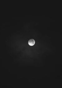 Rituals For The Colorless Light