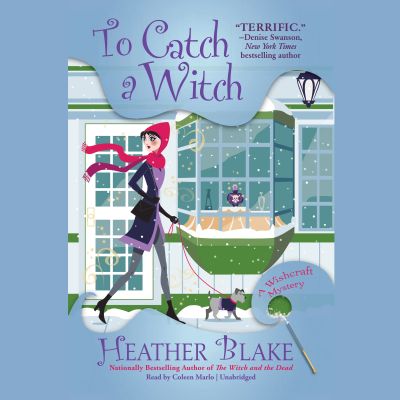 To Catch a Witch