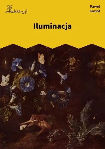 Iluminacja