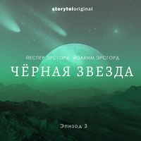 Чёрная звезда. Серия 3. Фигуры с неба
