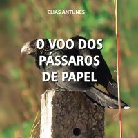 O voo dos pássaros de papel
