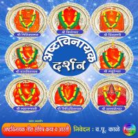 Ashtavinayak Darshan