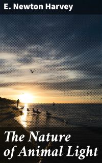 The Nature of Animal Light