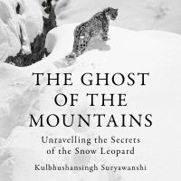 The Ghost of the Mountains