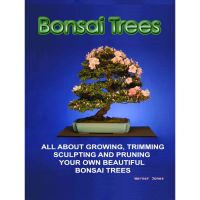 Bonsai Trees