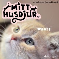Mitt husdjur: Spindel