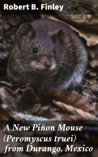 A New Piñon Mouse (Peromyscus truei) from Durango, Mexico
