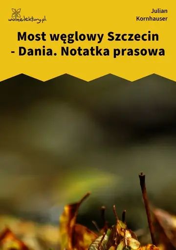 Most węglowy Szczecin - Dania. Notatka prasowa