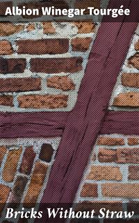 Bricks Without Straw