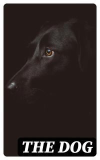 The Dog