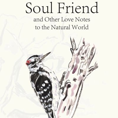 Soul Friend