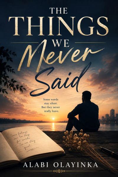 The Things We Never Said by Alabi Olayinka