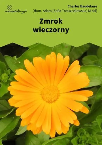 Zmrok wieczorny