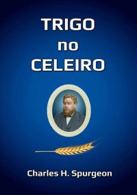 Trigo No Celeiro