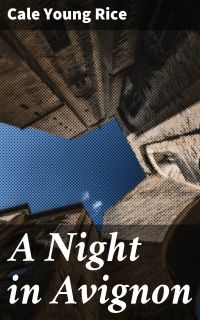 A Night in Avignon