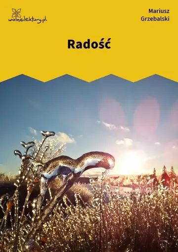 Radość