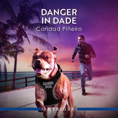 Danger In Dade