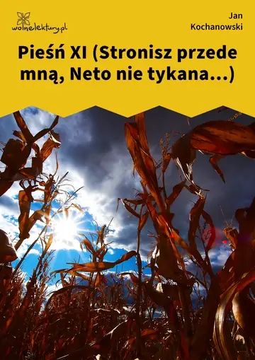 Pieśń XI (Stronisz przede mną, Neto nie tykana...)