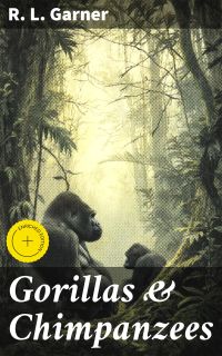 Gorillas & Chimpanzees