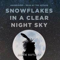 Snowflakes in a Clear Night Sky