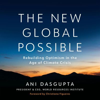 The New Global Possible