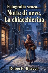 Fotografia senza.... - Notte di neve - La chiacchierina