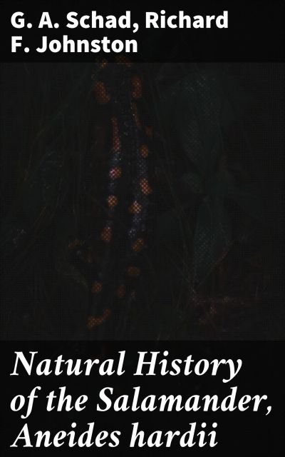Natural History of the Salamander, Aneides hardii