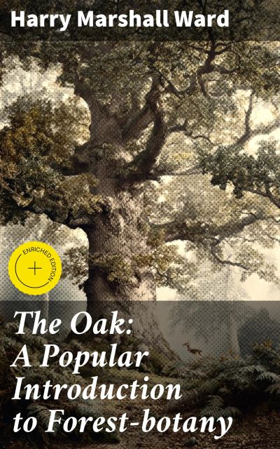 The Oak: A Popular Introduction to Forest-botany