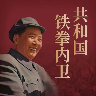 共和国铁拳内卫