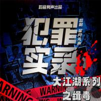 大江湖系列之缉毒
