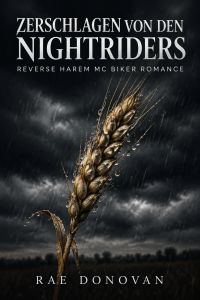 Zerschlagen von den Nightriders