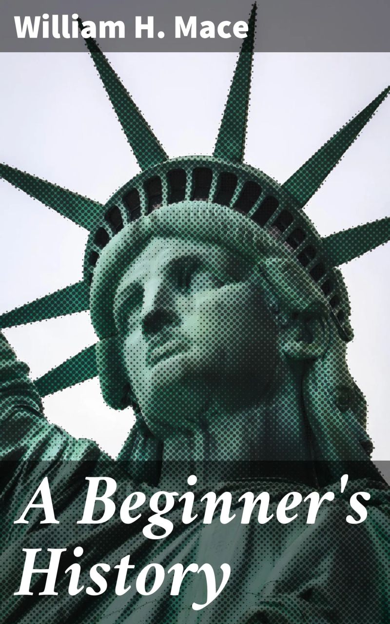 A Beginner's History