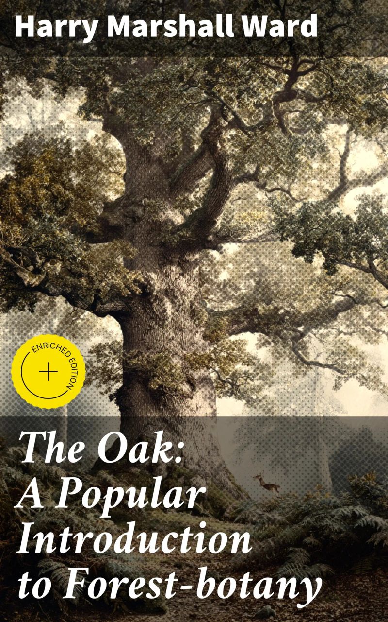 The Oak: A Popular Introduction to Forest-botany