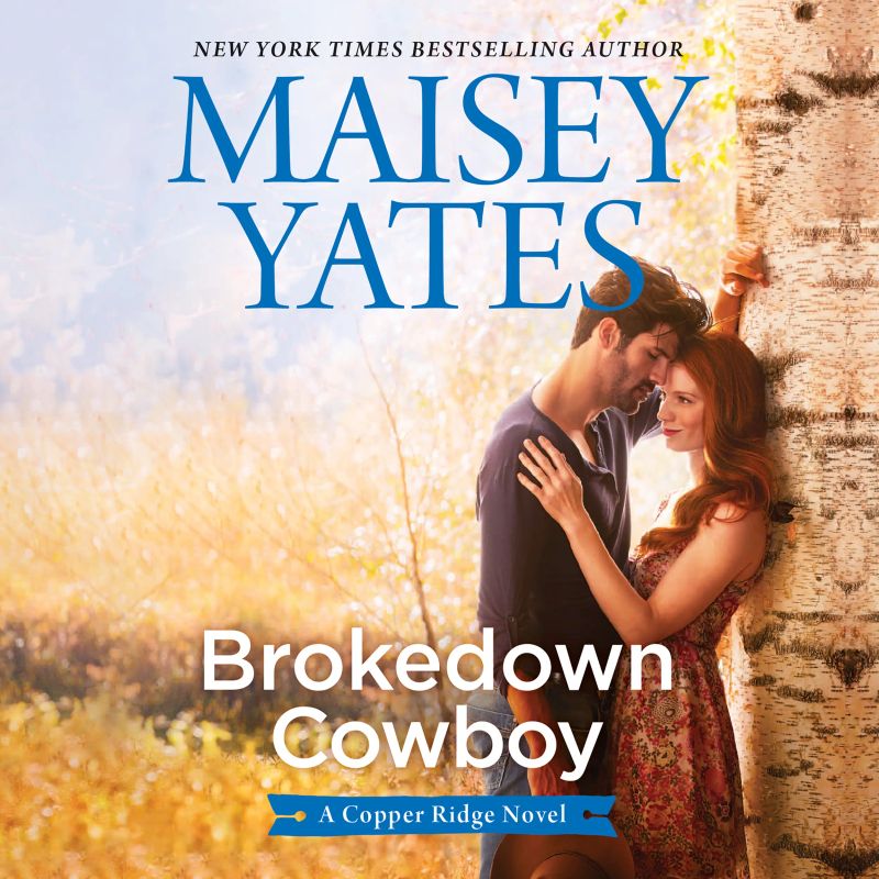 Brokedown Cowboy