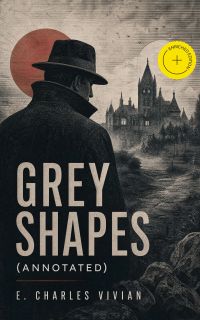 Grey Shapes (Annotated)