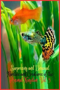 Surprising and unusual rarities and creatures of the Animal Kingdom. Vol. 3
