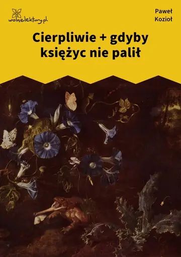 Cierpliwie + gdyby księżyc nie palił