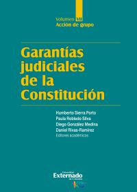 Garantías judiciales de la Constitución. Tomo VII. Acción de grupo