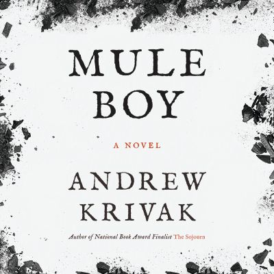 Mule Boy