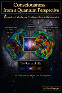 Consciousness from a Quantum Perspective