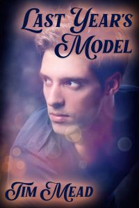 Last Year's Model