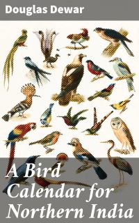 A Bird Calendar for Northern India