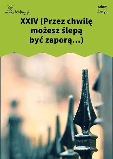 XXIV (Przez chwilę możesz ślepą być zaporą...)