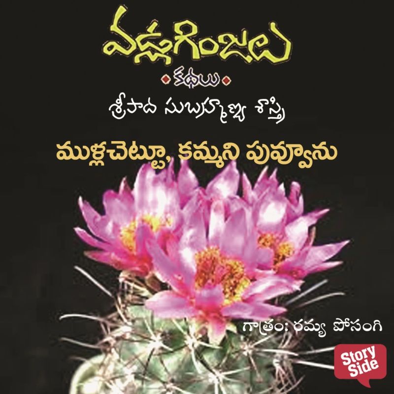 Mulla chettu kammani puvvunu - Vadla Ginjalu (ముళ్ళ చెట్టు కమ్మని పువ్వును)