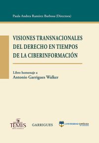 Visiones trasnacionales del derecho en tiempos de la ciberinformación