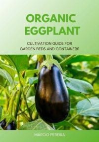Organic Eggplant
