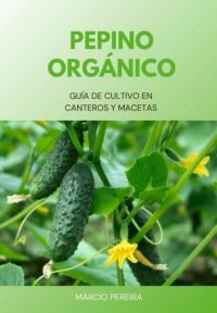 Pepino Orgánico