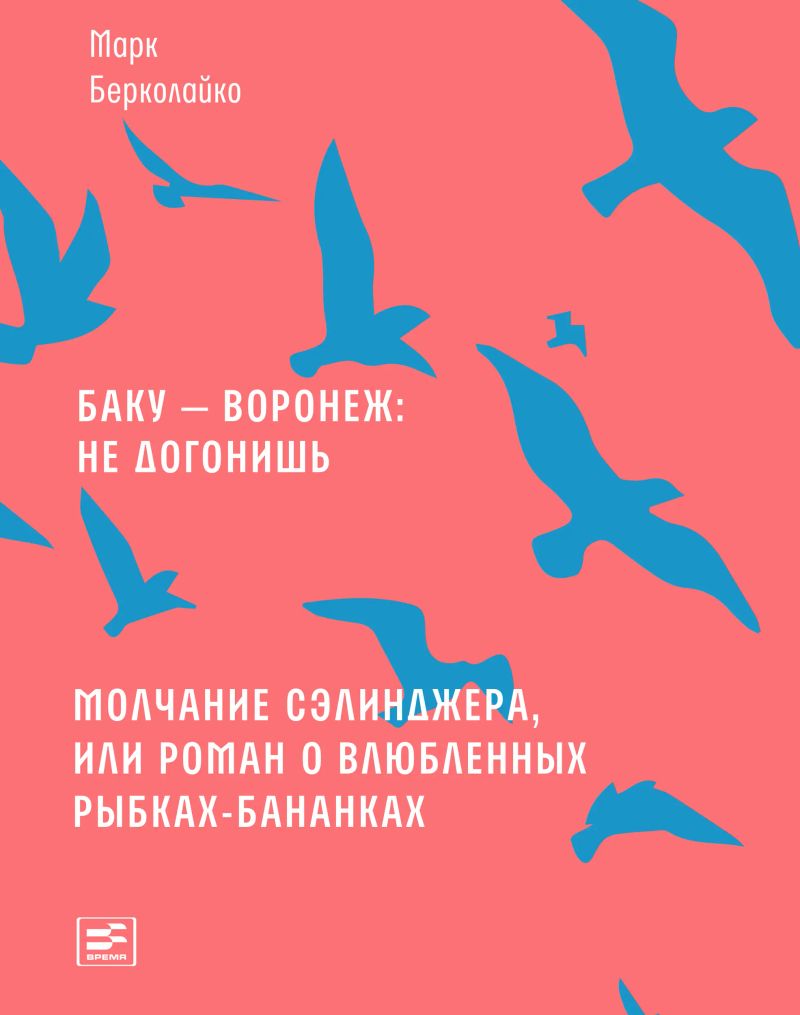Баку — Воронеж: не догонишь