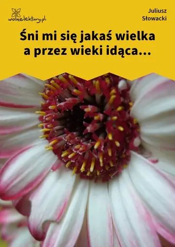 Śni mi się jakaś wielka a przez wieki idąca...