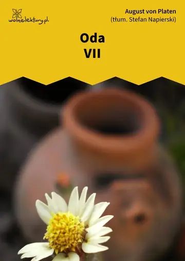 Oda VII